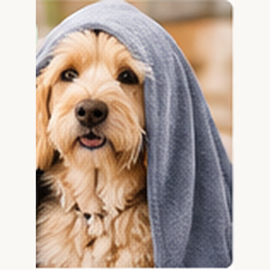 Dog wrapped in CozyWag quick dry bath towel